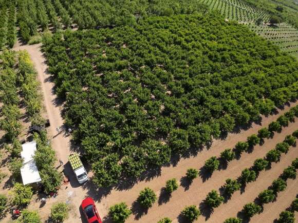 Sustainable Farming and Proper Storage Methods in Fruit Cultivation