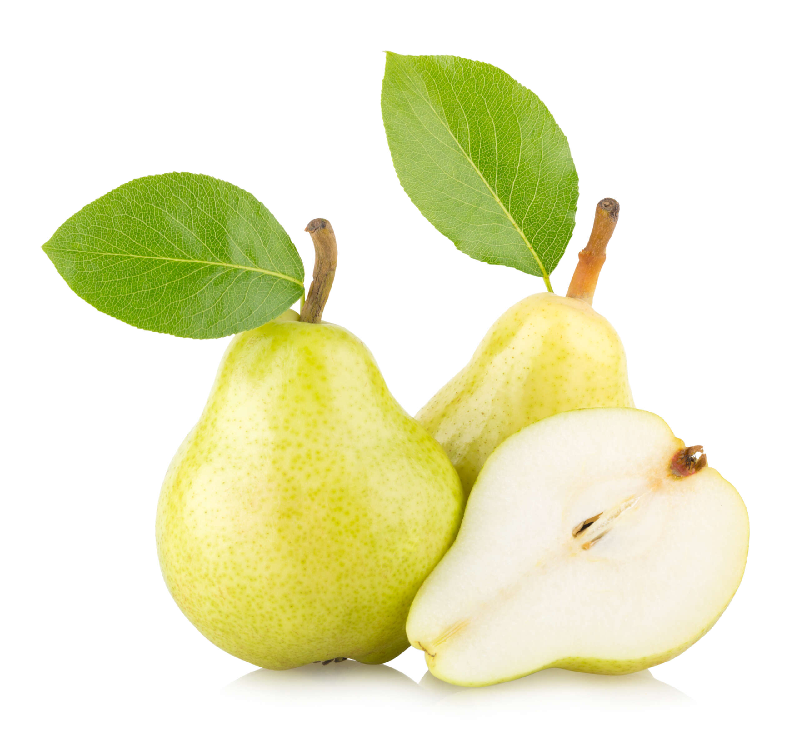 Santa Maria Pear